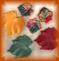 Mixed Autumn Leaves
