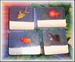 Goldfish Soap